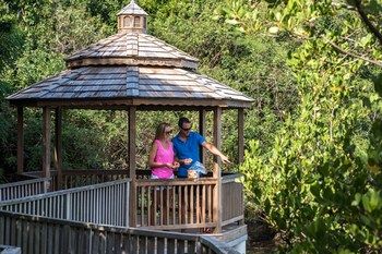 Childrens Activities